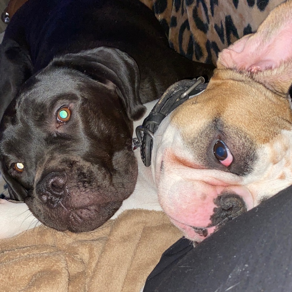 Meet your Posher, Kerri